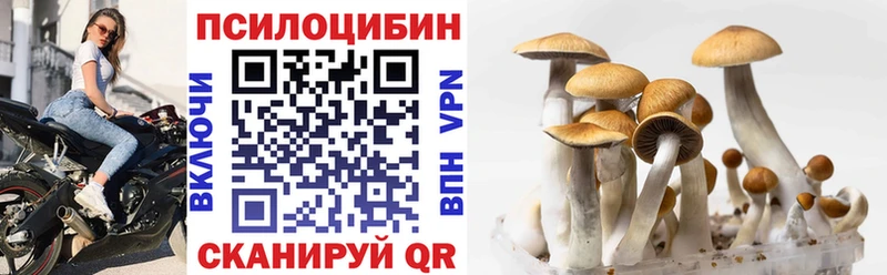 Псилоцибиновые грибы MAGIC MUSHROOMS  Ставрополь 